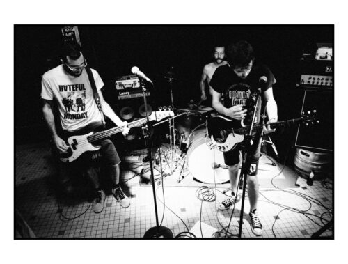 Snappy Days Live